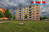 Prodej bytu 1+kk, 20 m2, Nové Sedlo, ul. Sadová