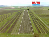 Prodej vinice, 3600 m2, Velké Bílovice, cena 460400 CZK / objekt, nabízí M&M reality holding a.s.