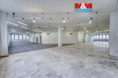 Pronájem obchod a služby, 641 m2, Plzeň, ul. alej Svobody, cena 105765 CZK / objekt / měsíc, nabízí M&M reality holding a.s.