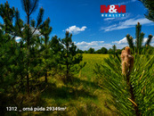 Prodej pozemků 151762 m2, Pňov-Předhradí, cena 10769000 CZK / objekt, nabízí 