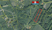 Prodej, trvalý travní porost, 2925 m2, Lopeník, cena 260000 CZK / objekt, nabízí 