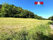 Prodej pole a lesa, 7613 m2, Zbrašín, cena 540780 CZK / objekt, nabízí 