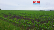 Prodej pole, 30161 m2, Sokolnice, cena 6032200 CZK / objekt, nabízí 