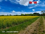 Prodej pole, 142115 m2, Pňov-Předhradí, cena 6520000 CZK / objekt, nabízí 