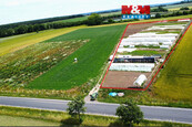 Prodej ovocného sadu, 18000 m2, Nové Dvory, cena 2695000 CZK / objekt, nabízí 