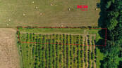 Prodej ovocného sadu, 2771 m2, Polom, cena 700952 CZK / objekt, nabízí M&M reality holding a.s.