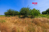 Prodej ovocného sadu, 21280 m2, Rakvice, cena 3190720 CZK / objekt, nabízí 