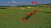 Prodej ovocného sadu, 14490 m2, Zaječí, cena 7759400 CZK / objekt, nabízí M&M reality holding a.s.