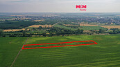 Prodej pole, 9227 m2, Podivín, cena 1045420 CZK / objekt, nabízí M&M reality holding a.s.