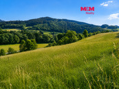 Prodej louky, 4215 m2, Lužná, cena 350000 CZK / objekt, nabízí M&M reality holding a.s.