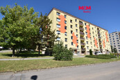 Pronájem, byt 1+1, Žamberk, ul. Školská