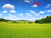 Prodej louky, 15452 m2, Kouty