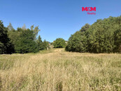 Prodej pozemku k bydlení, 5378 m2, Velemín, cena 3945200 CZK / objekt, nabízí 