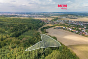 Prodej lesa, 6522 m2, Plzeň - Červený Hrádek, cena 5490000 CZK / objekt, nabízí 