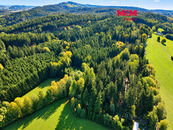 Prodej lesa, louky, 15881 m2, Bohdašín, cena 1600000 CZK / objekt, nabízí 