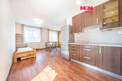 Pronájem bytu 1+kk, 50 m2, Plzeň, ul. Waltrova, cena 12000 CZK / objekt / měsíc, nabízí M&M reality holding a.s.