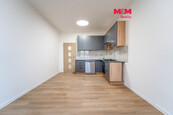 Pronájem bytu 3+kk, 55 m2, Plzeň, ul. Francouzská třída, cena 20000 CZK / objekt / měsíc, nabízí 