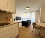 Pronájem luxusně zařízeného bytu 1kk s terasou, ulice U Hájenky, Slezská Ostrava, cena 17000 CZK / objekt / měsíc, nabízí 