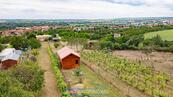 Zahrada 852 m2 s dřevostavbou 2+kk, vrtem a elektřinou v Dobšicích u Znojma, cena 2590000 CZK / objekt, nabízí Nemovitosti Znojmo s.r.o.