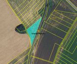 Prodej pole 4 114 m, Městečko Trnávka, cena 43 CZK / m2, nabízí 