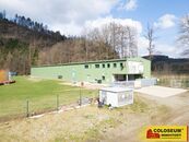 Nedvědice, pronájem výrobního areálu, 19 015 m2, hala, kanceláře, sociální zařízení komerce