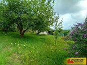 Moravská Třebová, zahrada, vlastní studna pozemek, cena 1250000 CZK / objekt, nabízí COLOSEUM NEMOVITOSTI s.r.o.