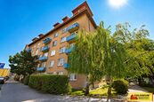 Brno Staré Brno, ul. Křížkovského, byt OV 2+1, 65 m, balkón - byt, cena 8915640 CZK / objekt, nabízí COLOSEUM NEMOVITOSTI s.r.o.