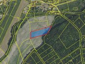 Prodej pole 5 383 m2, cena 269150 CZK / objekt, nabízí 