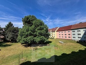 Světlý byt 2+1 po rekonstrukci | Zahrada, 2 sklepy, meandr i centrum pár minut od domu, cena 15000 CZK / objekt / měsíc, nabízí Bohemian Estates International s.r.o.