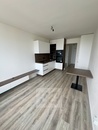 Pronájem bytu 1+kk - posilovna, party room, cena 15500 CZK / objekt / měsíc, nabízí Bohemian Estates International s.r.o.