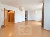 Prostorný byt 1+kk (40m2) s balkonem a sklepem na ulici Dusíkova, cena 14900 CZK / objekt / měsíc, nabízí Bohemian Estates International s.r.o.