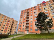 Prodej prostorného bytu, ulice Dřevařská v Chebu., cena 2799000 CZK / objekt, nabízí 