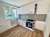 3+1, DV, ul. Truhlářova, Střekov, cena 16000 CZK / objekt / měsíc, nabízí 
