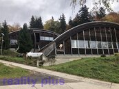 Prodej dvou dřevěných hal o celkové půdorysné ploše 1206 m2, cena 30000000 CZK / objekt, nabízí 
