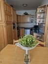 Prodej, Byt 3+1, Kladno, cena 6500000 CZK / objekt, nabízí 