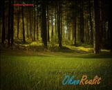 Prodej lesního pozemku v k.ú. Dubňany, okr. Hodonín., cena 50000 CZK / objekt, nabízí IGIVEX s.r.o.