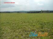 Prodej pozemků - trvalý travní porost v k.ú. Němětice, okr. Strakonice, cena 490000 CZK / objekt, nabízí 