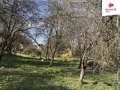 Prodej zahrady 905 m2, Ústí nad Orlicí, cena cena v RK, nabízí 
