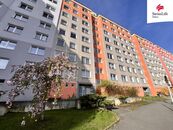 Prodej bytu 1+1 39 m2 Hodonínská, Plzeň, cena 3790000 CZK / objekt, nabízí 