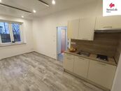Pronájem bytu 1+kk 22 m2 Slovanská, Plzeň, cena 11000 CZK / objekt / měsíc, nabízí 