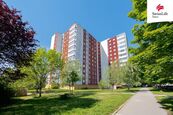 Prodej bytu 3+1 71 m2 Velkopavlovická, Brno, cena 7490000 CZK / objekt, nabízí 