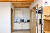 Pronájem bytu 1+kk 57 m2, Břehov, cena 32000 CZK / objekt / měsíc, nabízí 
