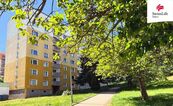 Prodej bytu 4+1 75 m2 Dřevařská, Cheb, cena 3920000 CZK / objekt, nabízí 