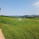 Prodej orné půdy u obce Krasetín - Holubov, cena 1130000 CZK / objekt, nabízí 