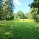 Prodej louky u obce Krasetín - Holubov, cena 1010000 CZK / objekt, nabízí 1. reality GP s.r.o.