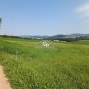 Prodej orné půdy 5.340 m2 u Krasetína, okres Český Krumlov, cena 1130000 CZK / objekt, nabízí 1. reality GP s.r.o.