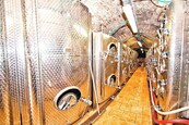 Exkluzivní prodej certifikovaného vinařství na Moravě vinice, sklep, sklad, technologie, značka a zásoby., cena 23990000 CZK / objekt, nabízí CENTURY 21 Ruby