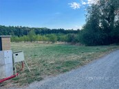 Prostorný pozemek 3256 m2 na krásném místě s možností využití dle vašich představ v obci Olšany, cena cena v RK, nabízí 