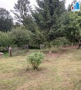Prodej zahrady v Třemešné na Tachovsku, cena 250000 CZK / objekt, nabízí 