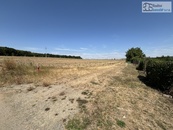 Pozemek Ostrovánky, 1.500 m2 - hezký pozemek pro rodinný dům v blízkosti lesa, 7 km od Kyjova, cena 2699000 CZK / objekt, nabízí SOS Realitní kancelář s.r.o.
